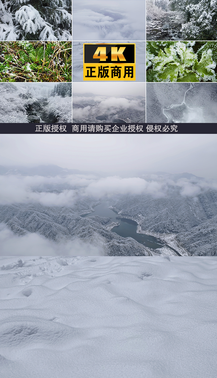 雪下雪雪景小雪大雪森林树木雪天雪冬雪白雪