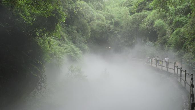 四川邛崃川西竹海风景