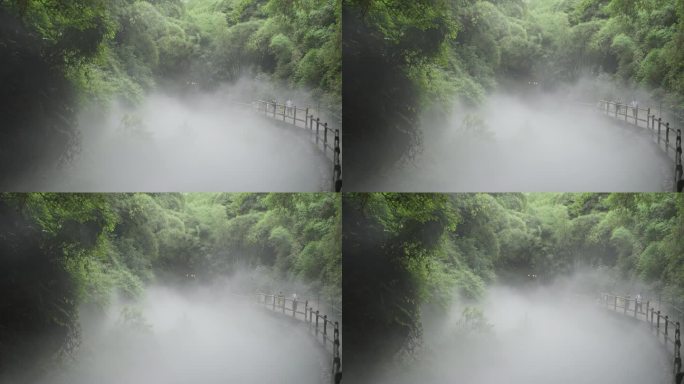 四川邛崃川西竹海风景