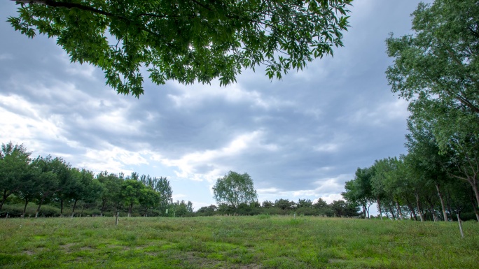 城市森林公园蓝天白云绿树草地乌云延时摄影