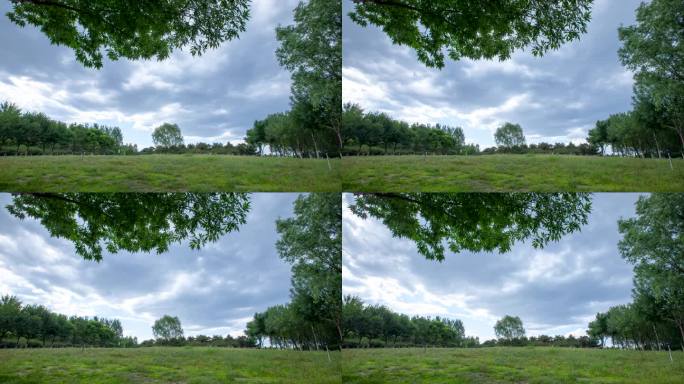 城市森林公园蓝天白云绿树草地乌云延时摄影
