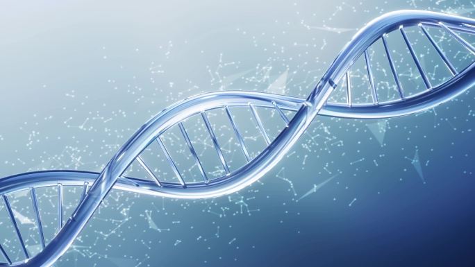 DNA基因生物分子结构
