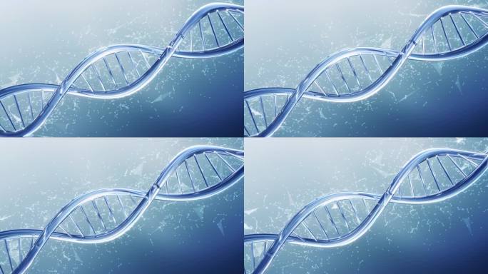 DNA基因生物分子结构