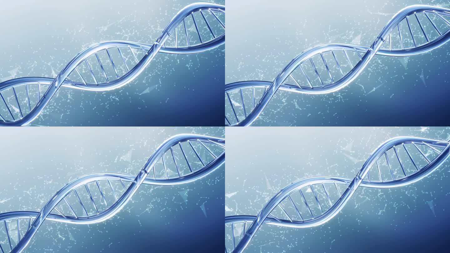 DNA基因生物分子结构