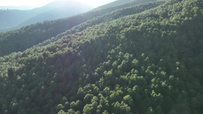 大山 空境 喜得县 脱贫