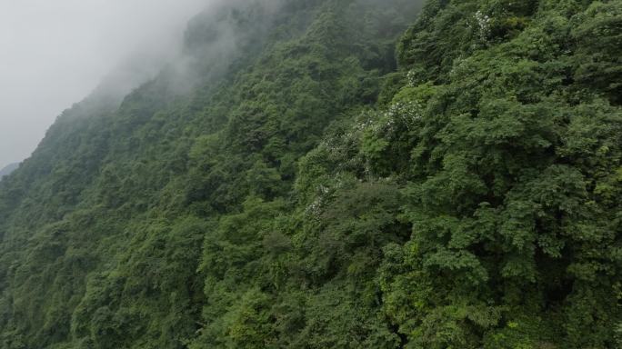 四川邛崃天台山航拍高山云雾风景