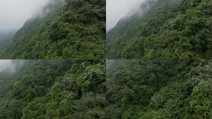 四川邛崃天台山航拍高山云雾风景