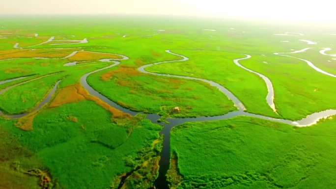 乌裕尔河湿地航拍