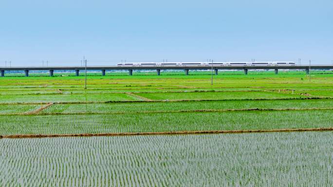 高铁 鱼米之乡 动车 田野