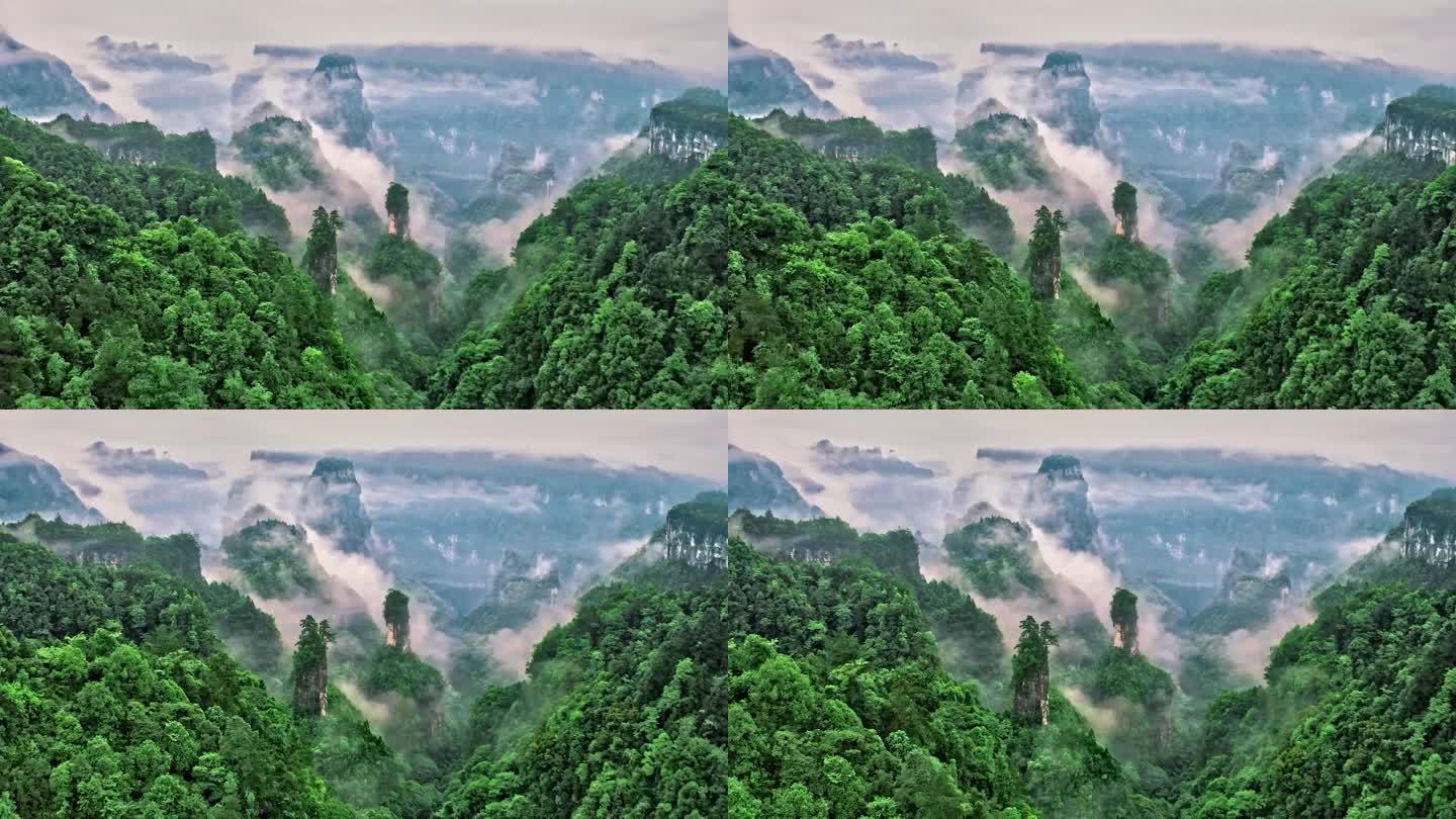 五龙山峡谷云雾