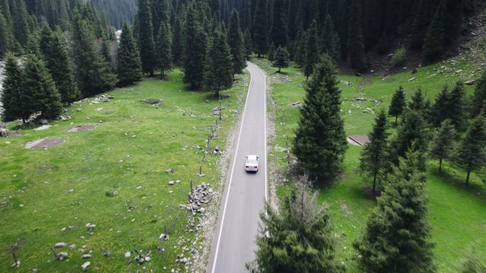 行驶在森林公路上的汽车