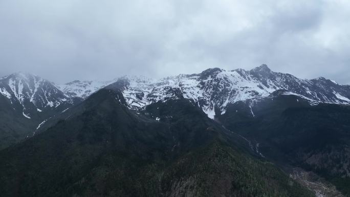 白马雪山