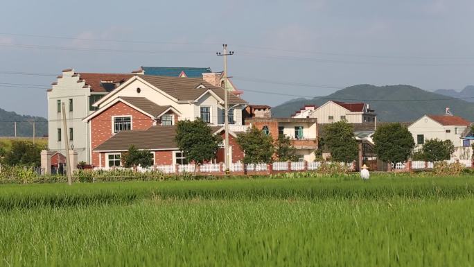 农村农田稻田农民自建房民居小洋房新农村