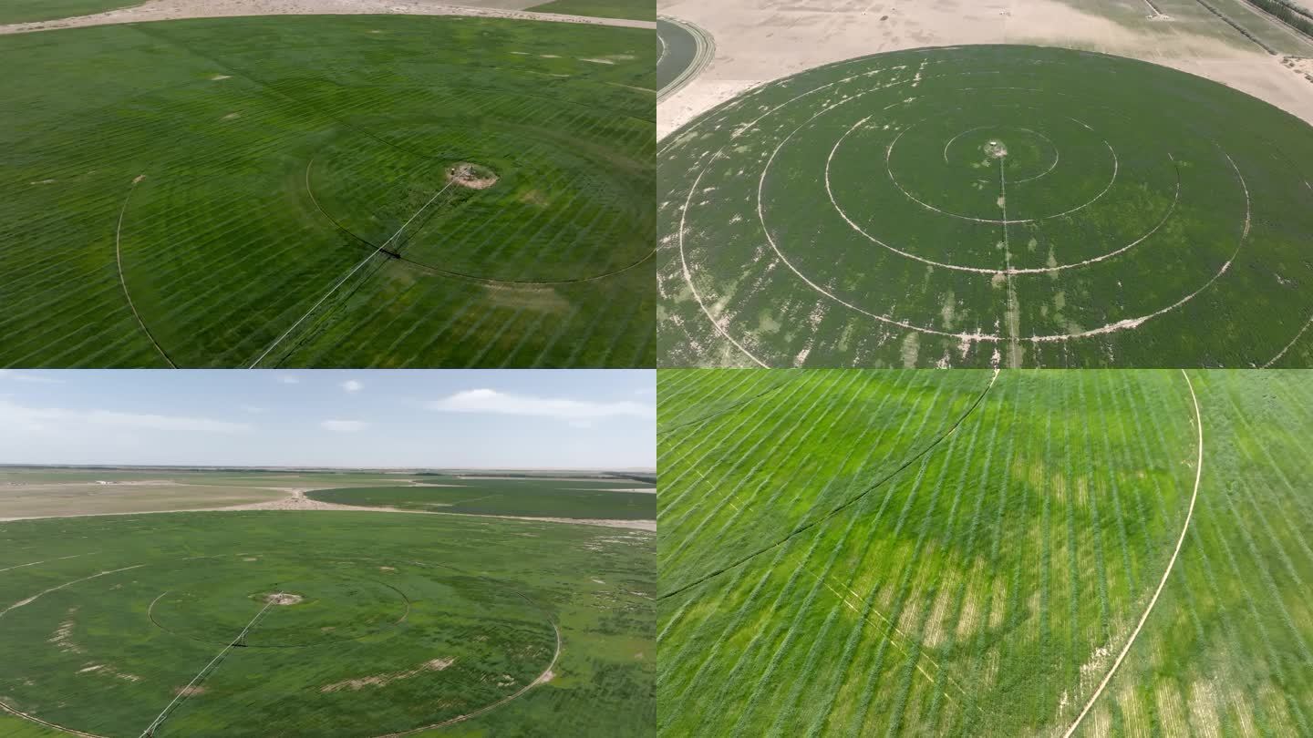 自动化浇灌机 大规模草场 沙漠绿洲航拍