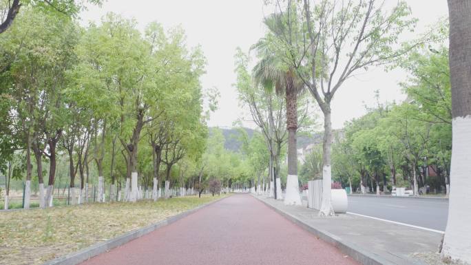 城市公园健康步道跑道