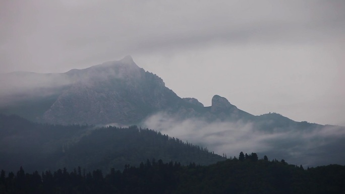 山峰森林云雾