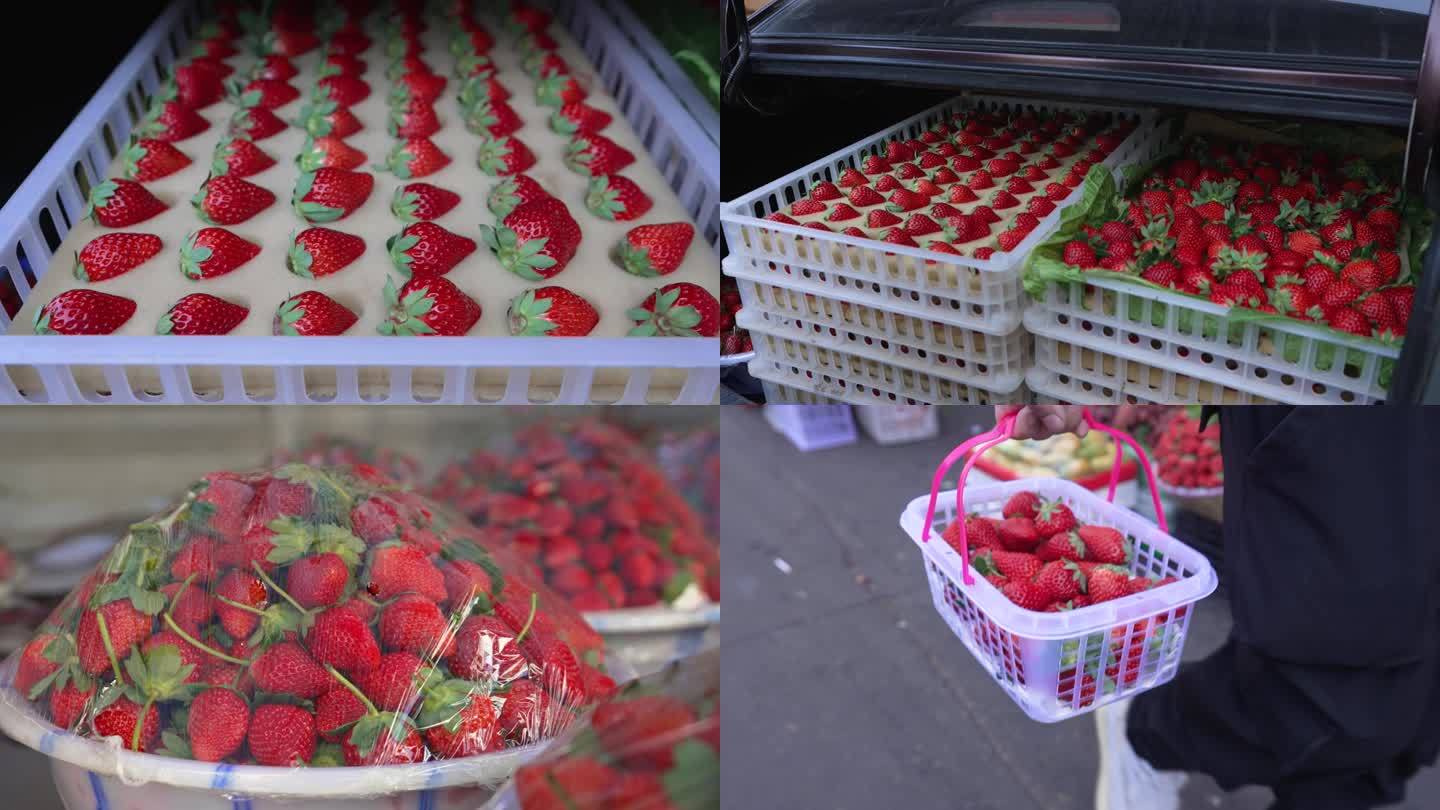西昌草莓巧克力草莓西昌水果市场