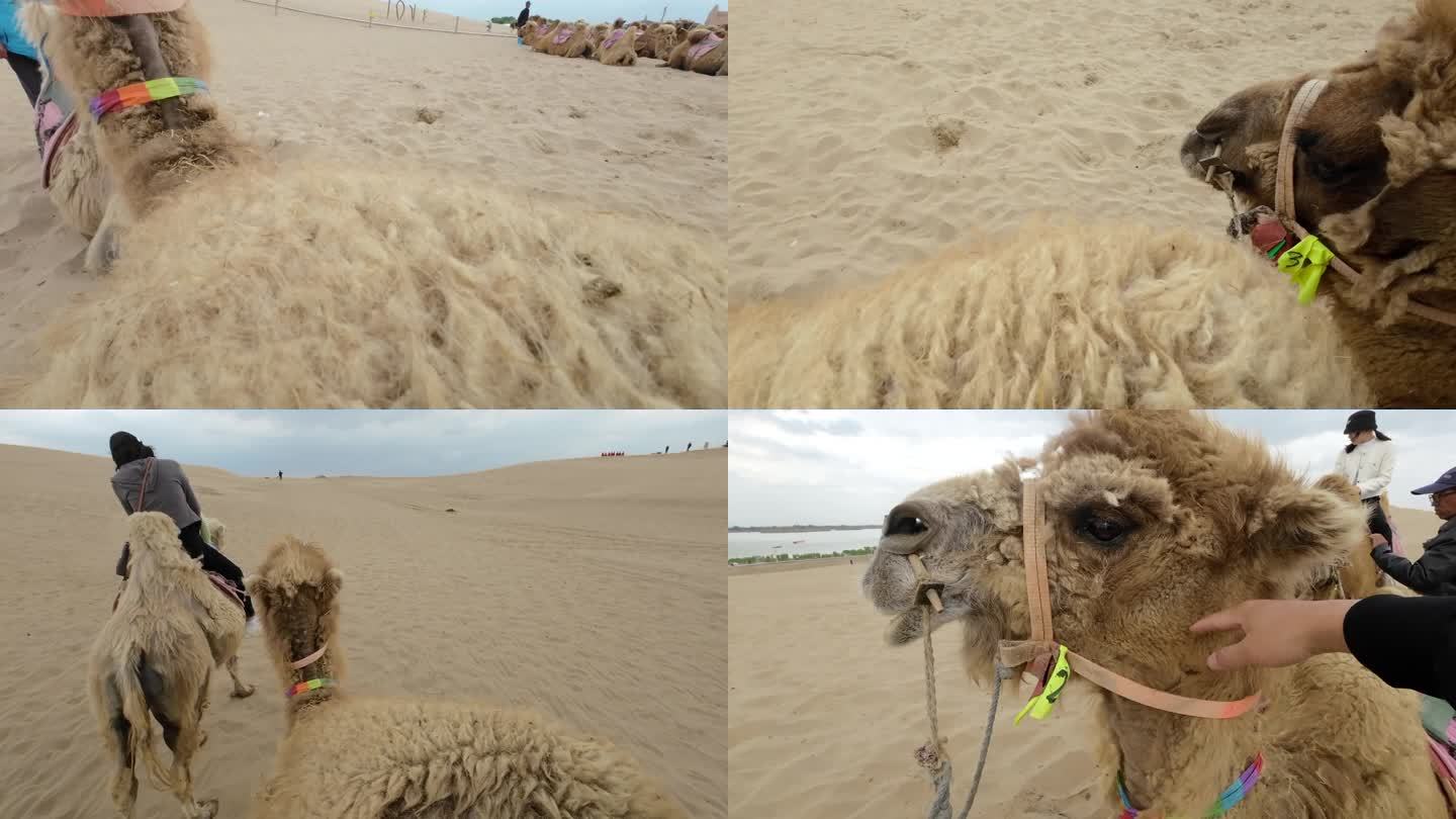 沙漠景区游人游客骑骆驼第一视角