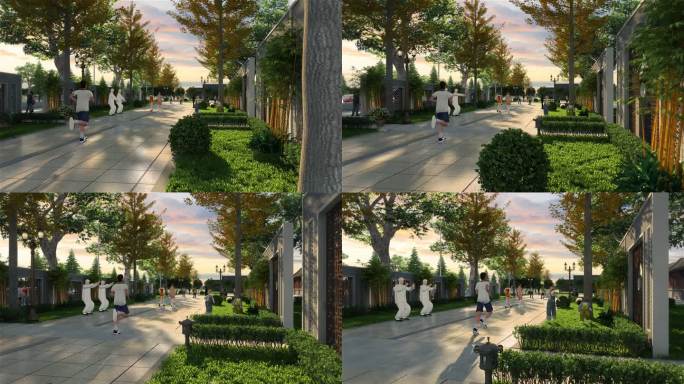 跑步 健身 太极拳 公园 绿植 树荫