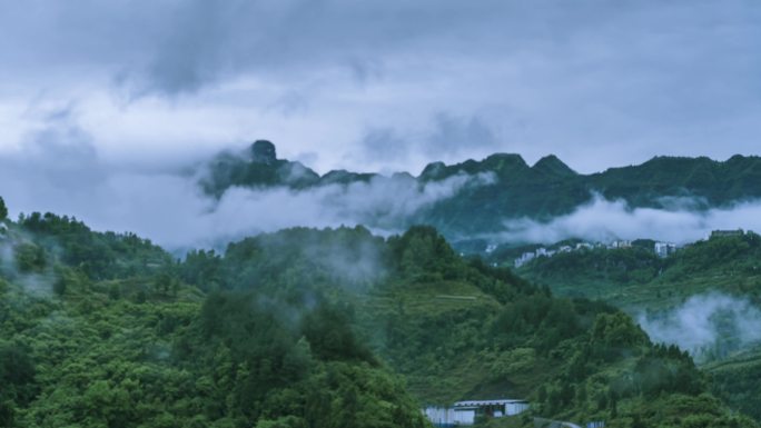 云海 山 雾气 森林 大自然