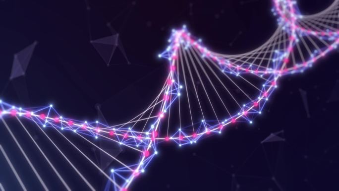 DNA生物链粒子
