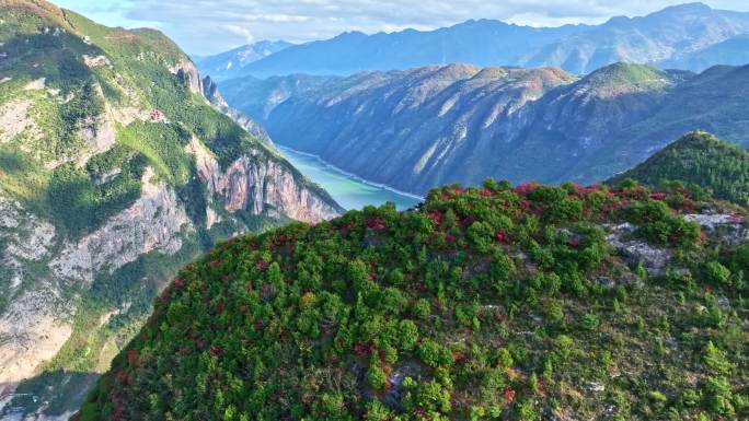 航拍长江三峡巫峡红叶