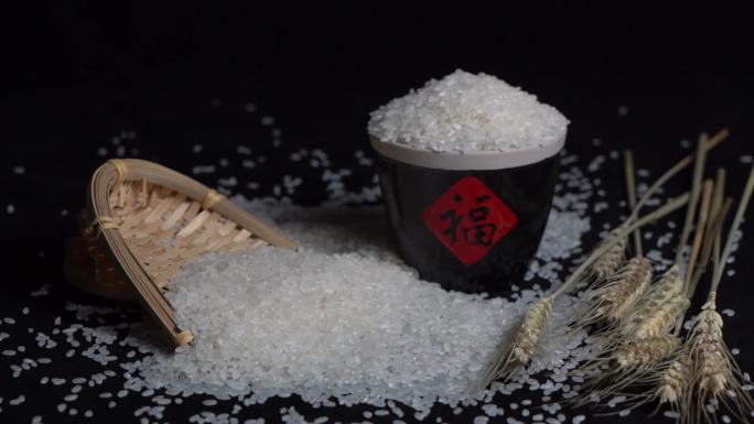 大米珍珠米东北五常大米大米家常大米稻花香