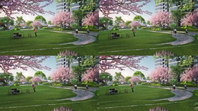 城市公园樱花草坪效果动画