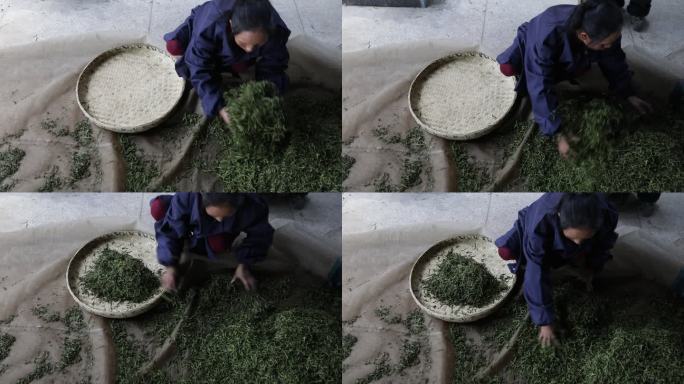 茶叶女工人手法操作第一视角特写镜头