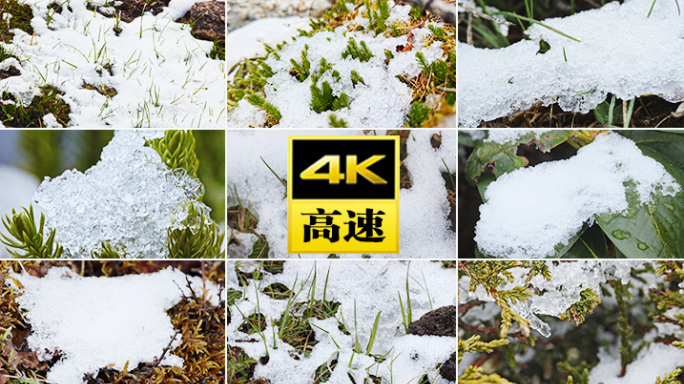 春春天雪冰雪融化雪融化冰雪融化消融生长冰