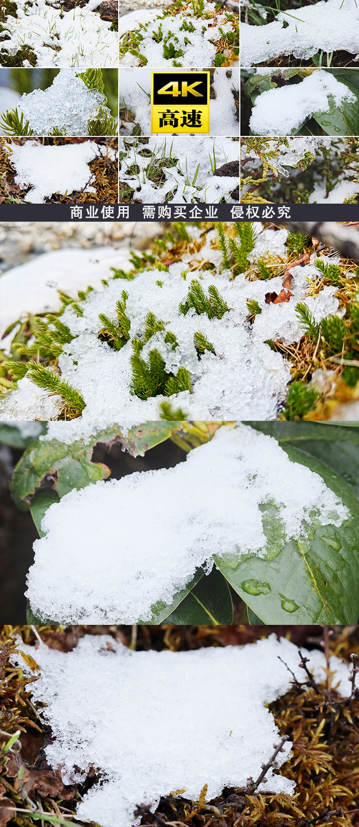 春春天雪冰雪融化雪融化冰雪融化消融生长冰