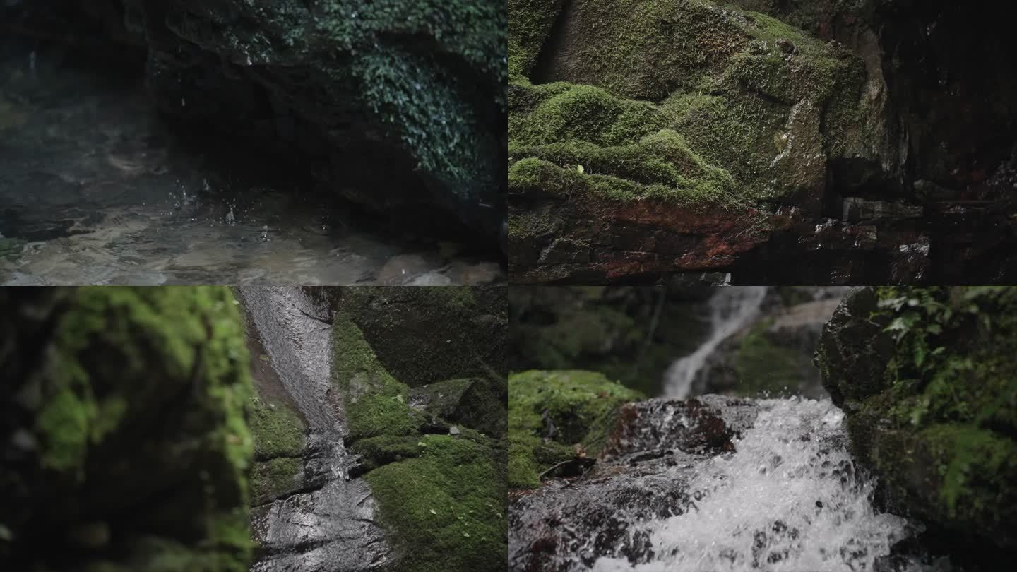 流水青苔水滴小溪水森林大自然山泉苔藓水流