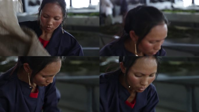 茶叶女工人劳动第一视角人物特写镜头