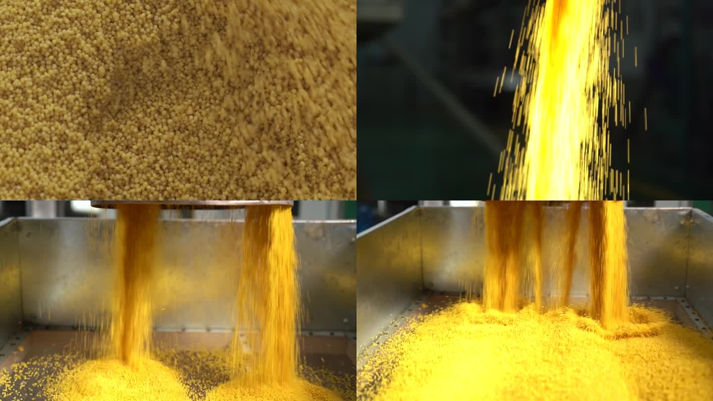 阳曲金黄色的小米