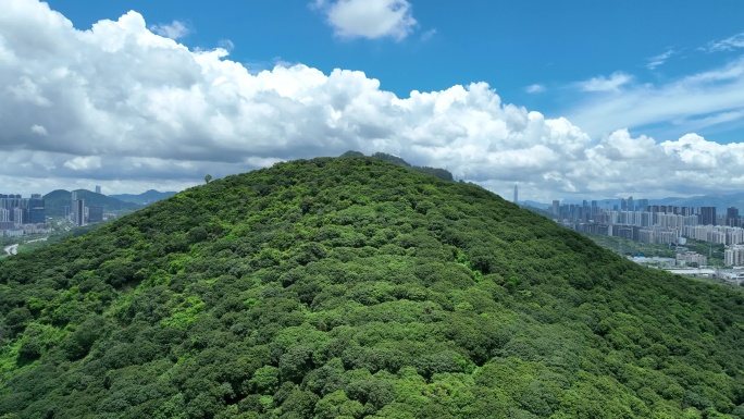 深圳南山区红花岭蓝天白云航拍