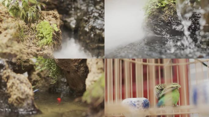 花鸟鱼葡萄水果采摘