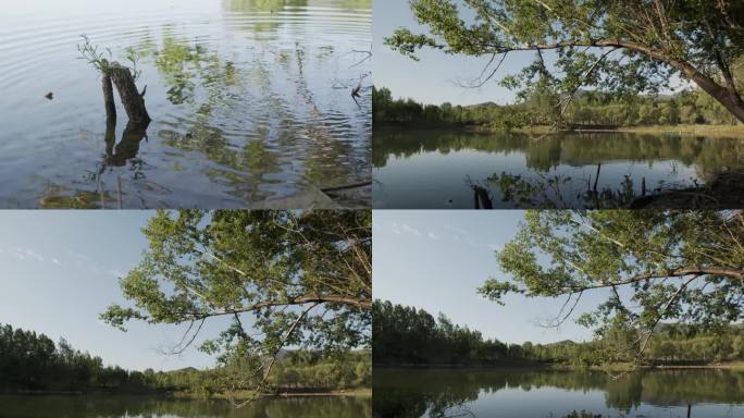 树林湖泊山泉