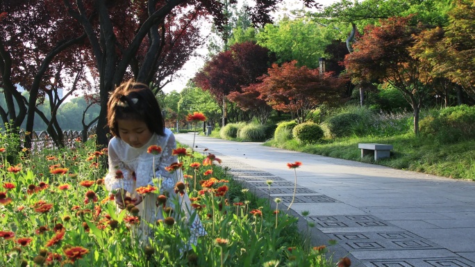 小女孩在公园里赏花