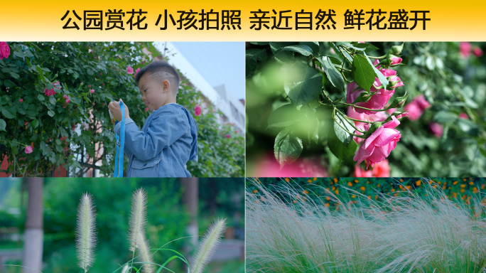 公园赏花 小孩拍照 亲近自然 鲜花盛开