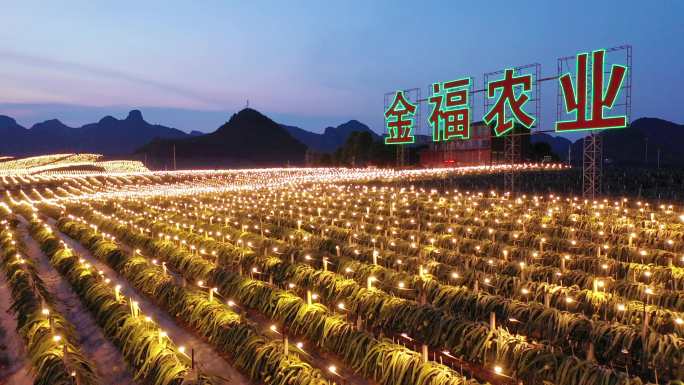 火龙果种植基地航拍灯光秀农业大面积种植