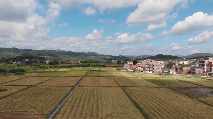 航拍田野村落