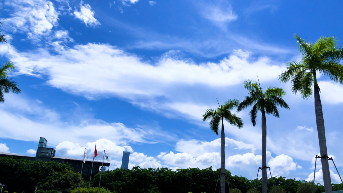 蓝天白云 云朵 树叶 绿叶子 椰子树