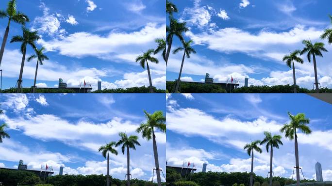 蓝天白云 云朵 树叶 绿叶子 椰子树