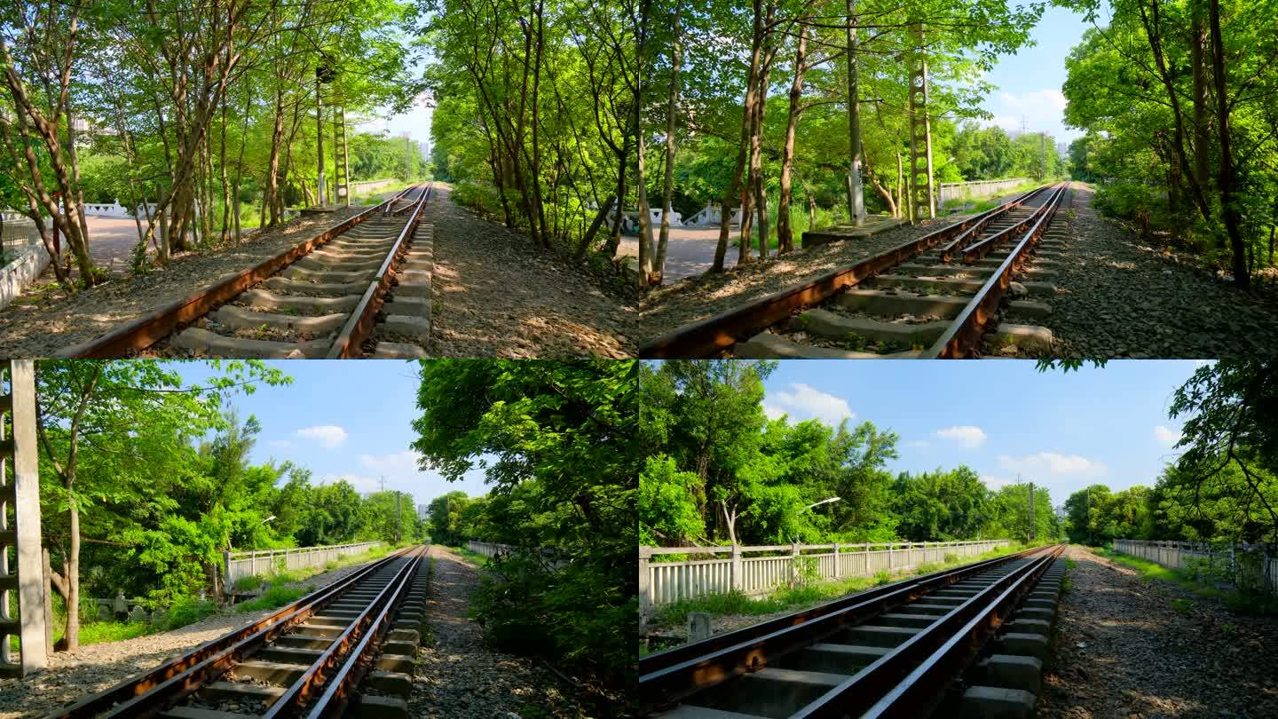 森林铁路铁轨穿过树林
