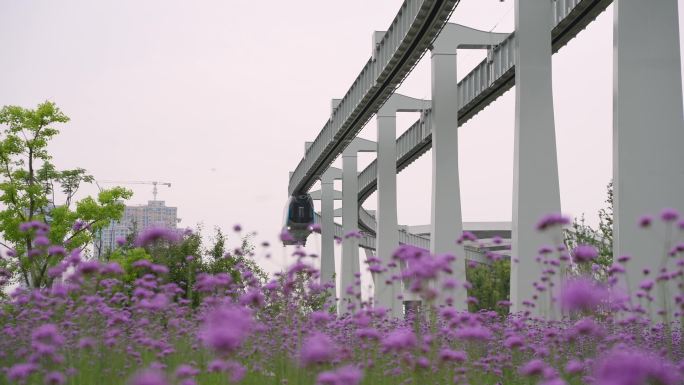 武汉光谷空轨光子号行驶在花海