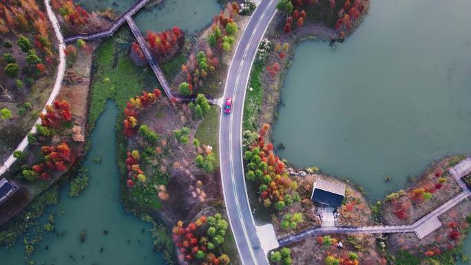 高空视角俯拍水上公路行驶的汽车