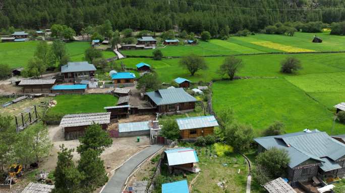 318川藏线旁森林和牧场之间的通木村