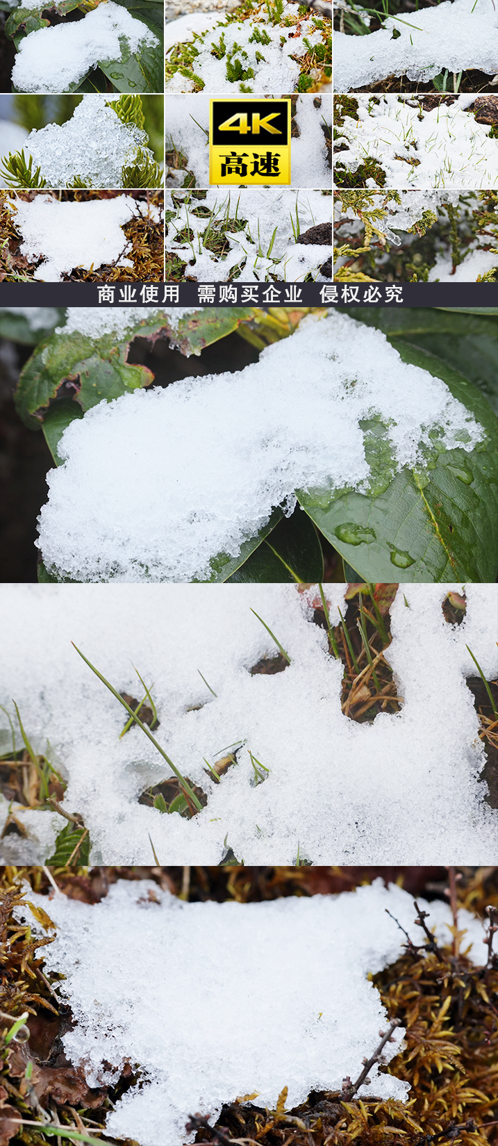 春春天雪冰雪融化雪融化冰雪融化消融立春冰