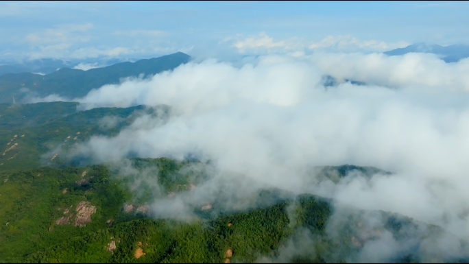 生态天然氧吧森林云雾缭绕