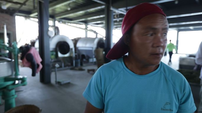 茶叶男工人劳动第一视角人物近景上班镜头